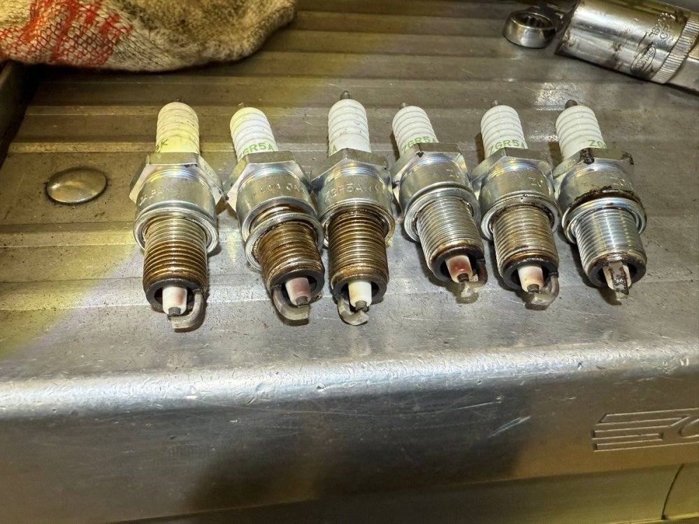 WhatsApp Image 2025-12-15 at 08.31.38.jpeg