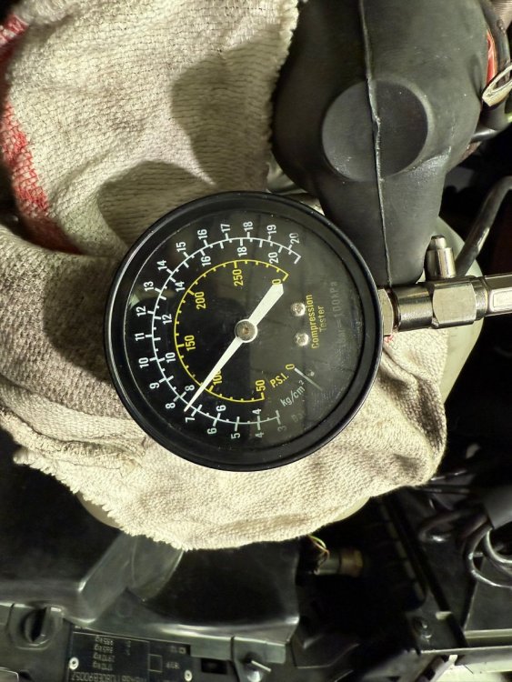 WhatsApp Image 2025-12-15 at 08.31.58.jpeg