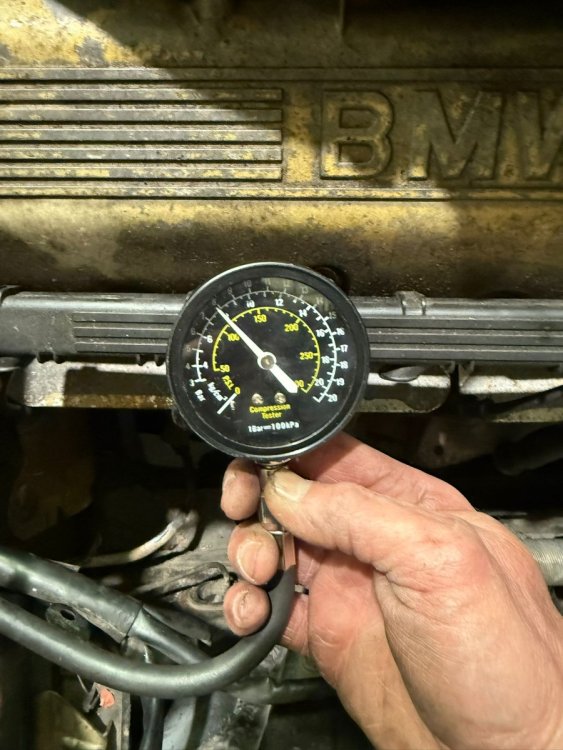 WhatsApp Image 2025-12-15 at 08.31.59.jpeg