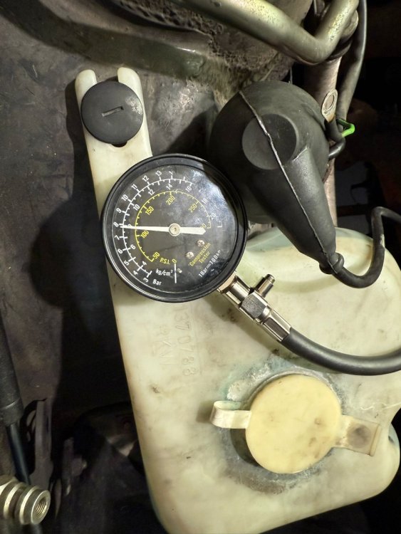 WhatsApp Image 2025-12-15 at 08.31.57.jpeg