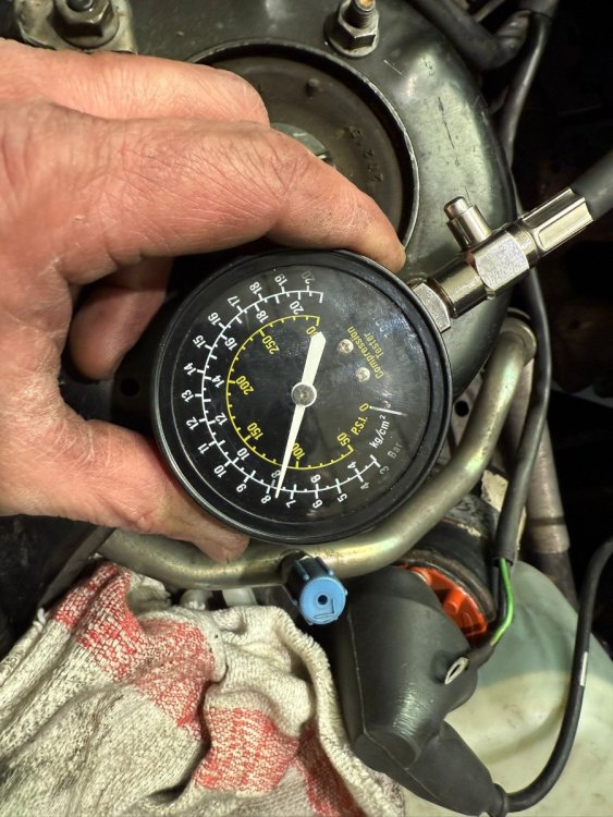 WhatsApp Image 2025-12-15 at 08.31.58 (2).jpeg