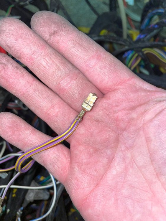 Foto 05.01.26, 21 01 15.jpg