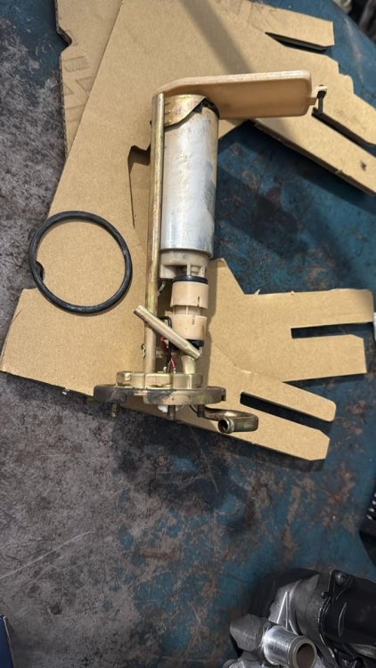 WhatsApp Image 2026-01-30 at 10.07.45 (2).jpeg