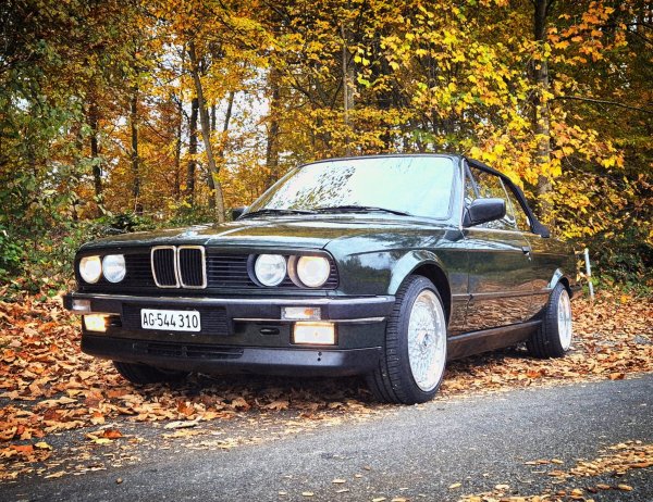 WhatsApp Image 2026-01-24 at 14.33.07.jpeg