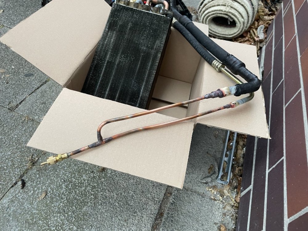 Foto 02.02.26, 17 05 11.jpg