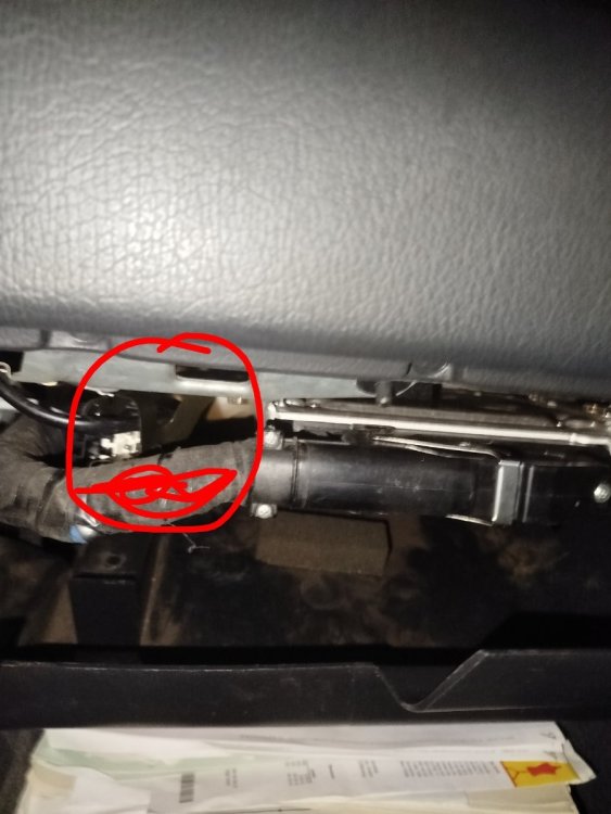 IMG_20260204_174658 (2).jpg