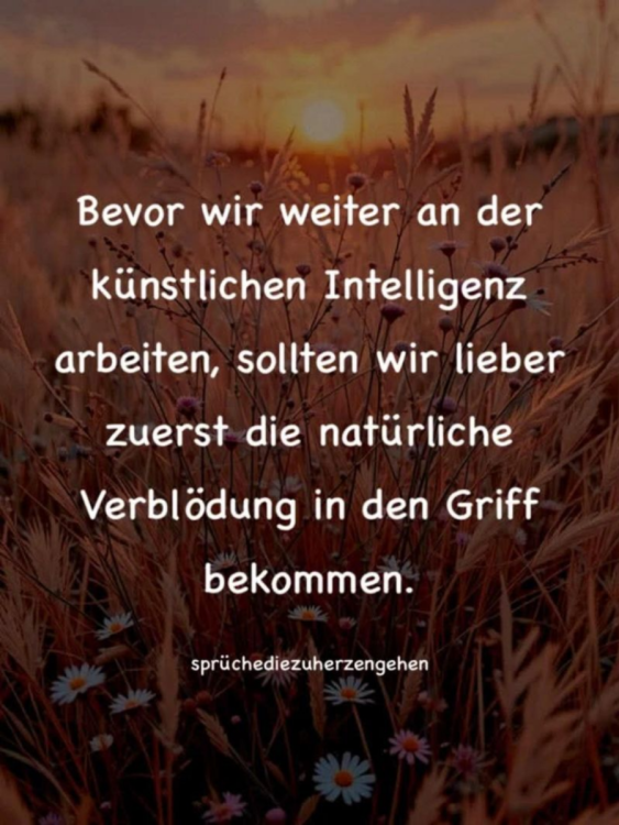 Screenshot 2026-03-08 at 16-51-26 1772874410786 (JPEG-Grafik 800 × 1064 Pixel).png