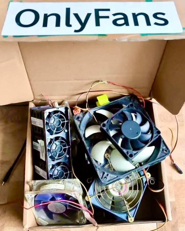 Screenshot 2026-03-09 at 10-34-32 1772893281174 (JPEG-Grafik 800 × 999 Pixel).png