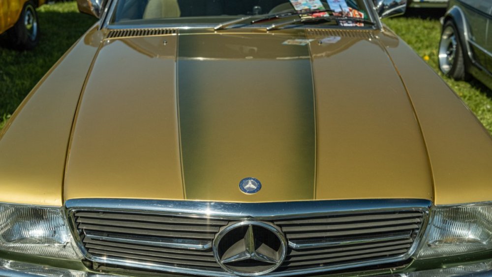 DSCF8261.jpg