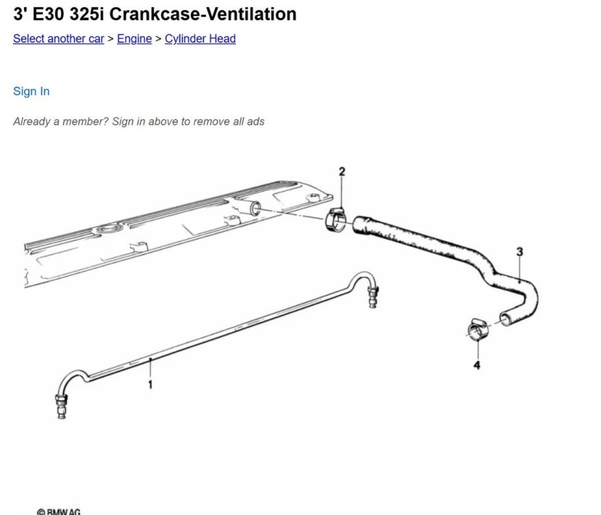 WhatsApp Image 2026-04-14 at 09.42.00.jpeg