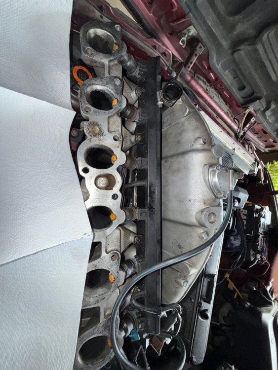 IMG_2414.jpeg