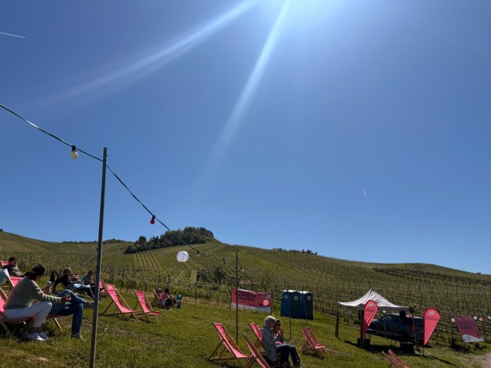IMG_3099.jpeg