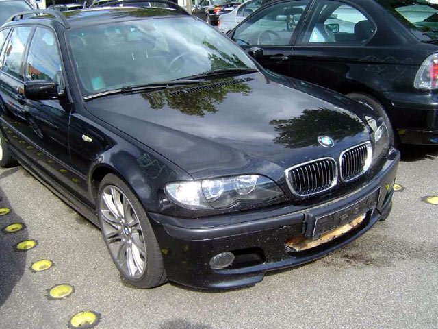 fuchs2.jpg