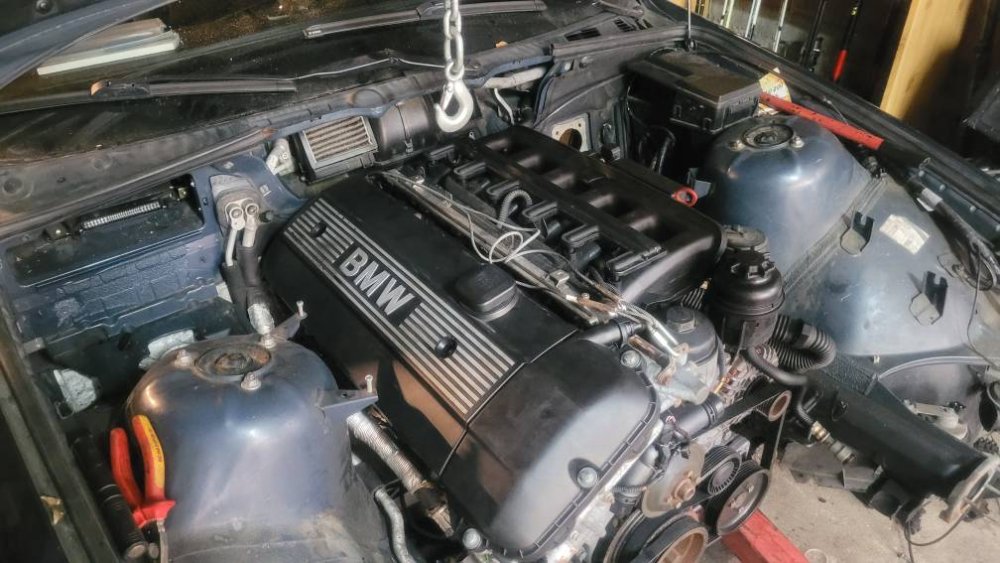 20260731_190725.thumb.jpg.e97d6c9555c1421942c6f5c8be740223.jpg