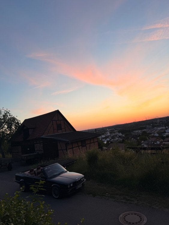 IMG_3555.jpeg