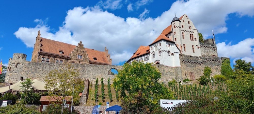 1_Burg_Alzenau (Foren).jpg