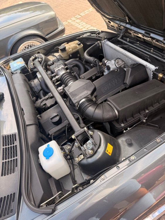 IMG_4176.jpeg