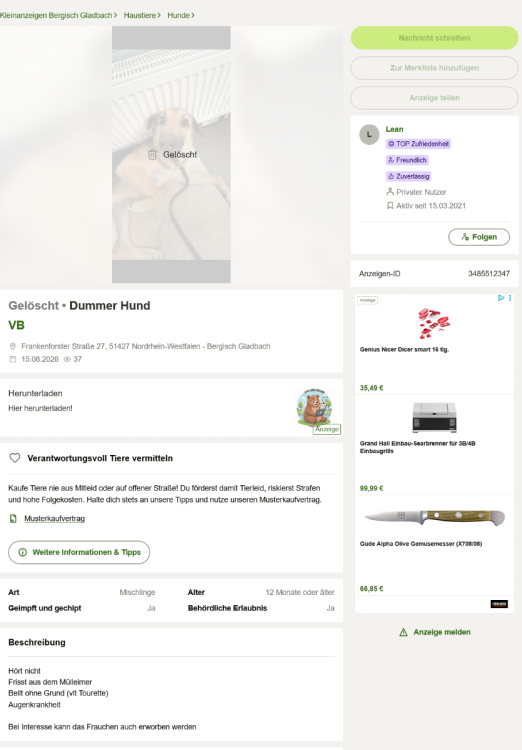 Screenshot 2026-08-16 at 13-45-03 Dummer Hund in Nordrhein-Westfalen - Bergisch Gladbach Mischlinge und Mischlingswelpen kaufen kleinanzeigen.de.png