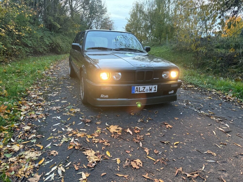 IMG_3577.jpeg